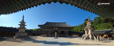 경주 불국사 '오늘의 여행사진' 한 컷!